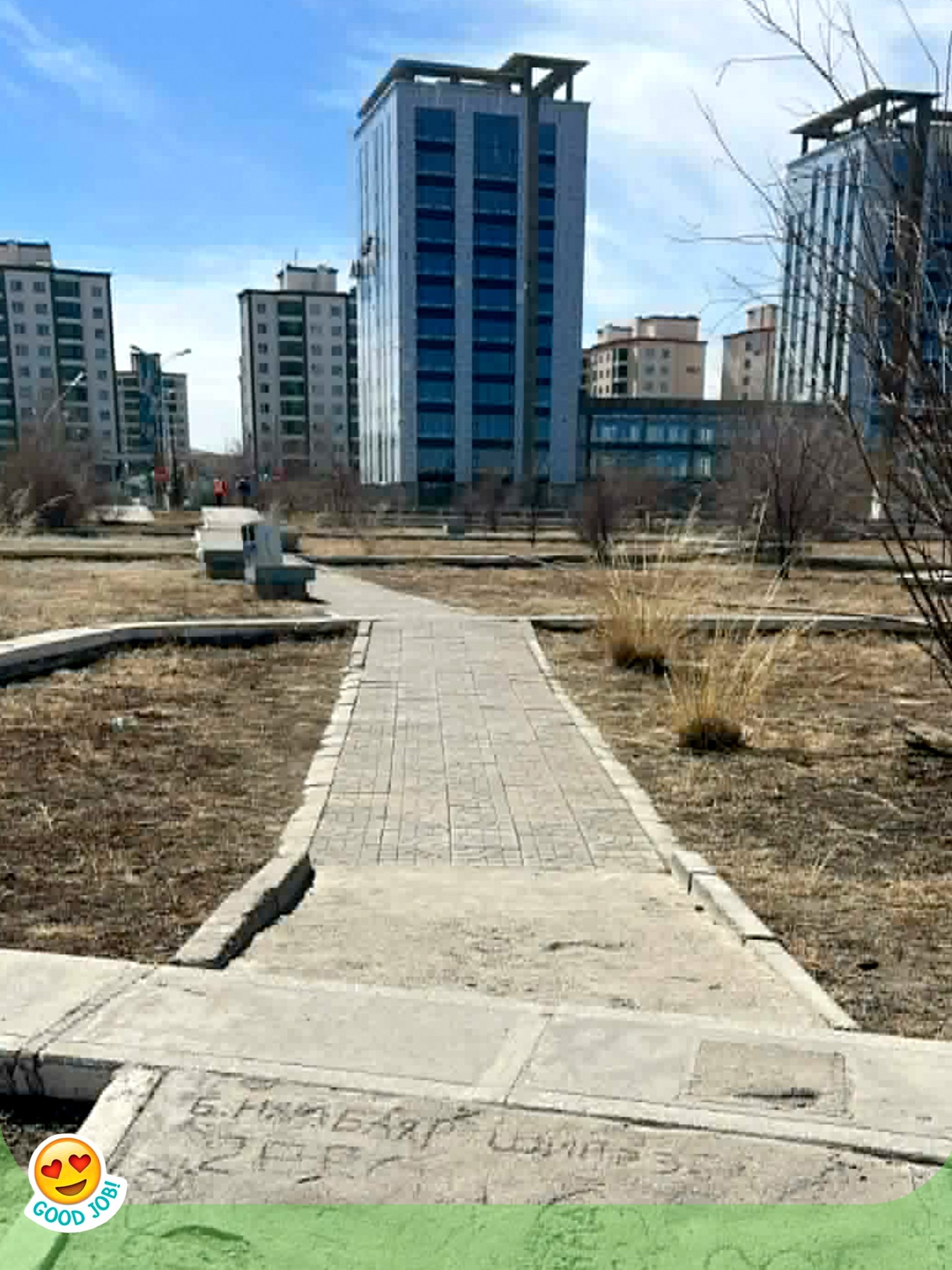 Бид ойролцоогоор 1000 м² талбайд буюу том, жижиг нийлээд 26 ширхэг ЗАМЫГ тавив