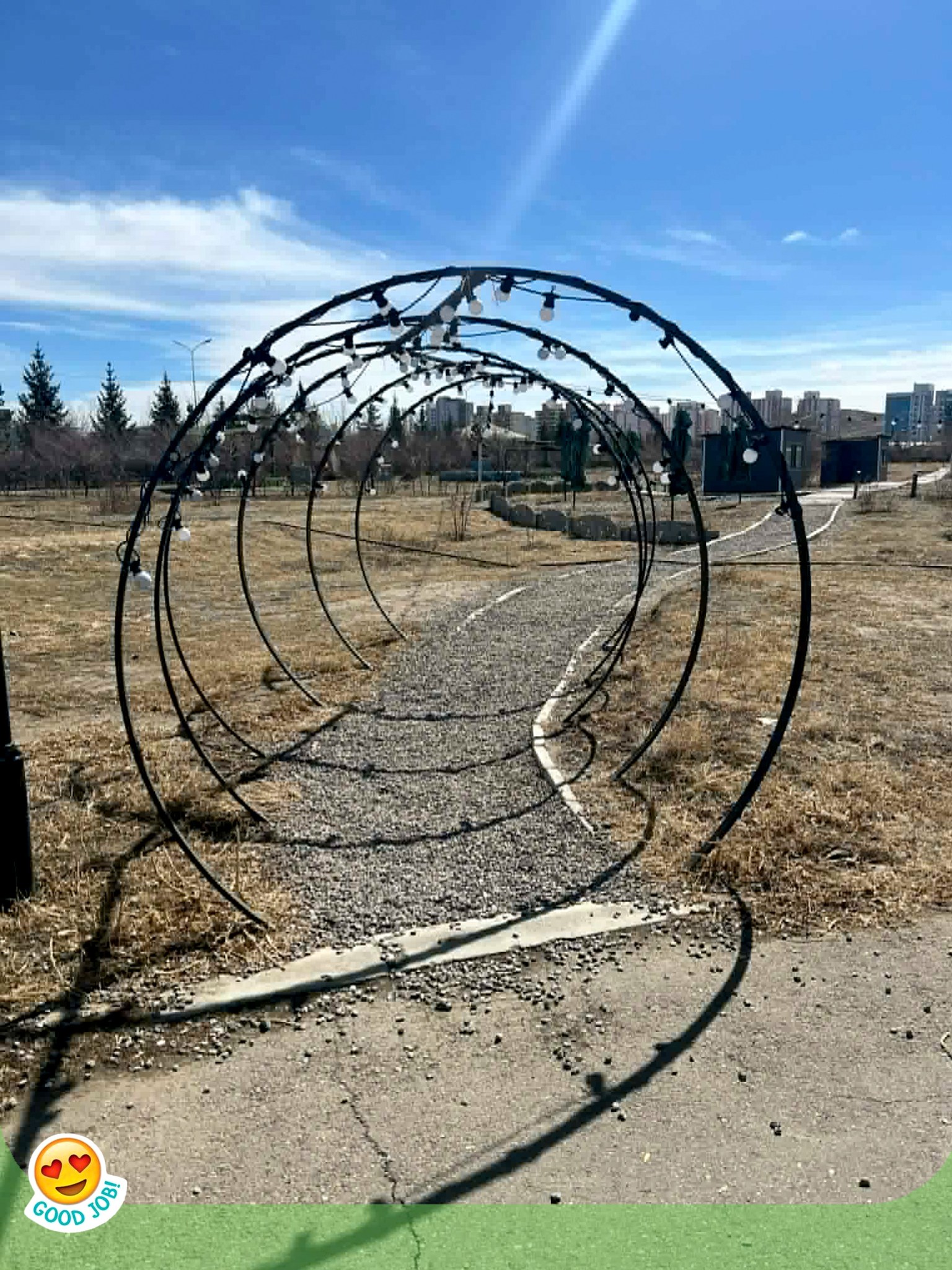 Бид ойролцоогоор 1000 м² талбайд буюу том, жижиг нийлээд 26 ширхэг ЗАМЫГ тавив