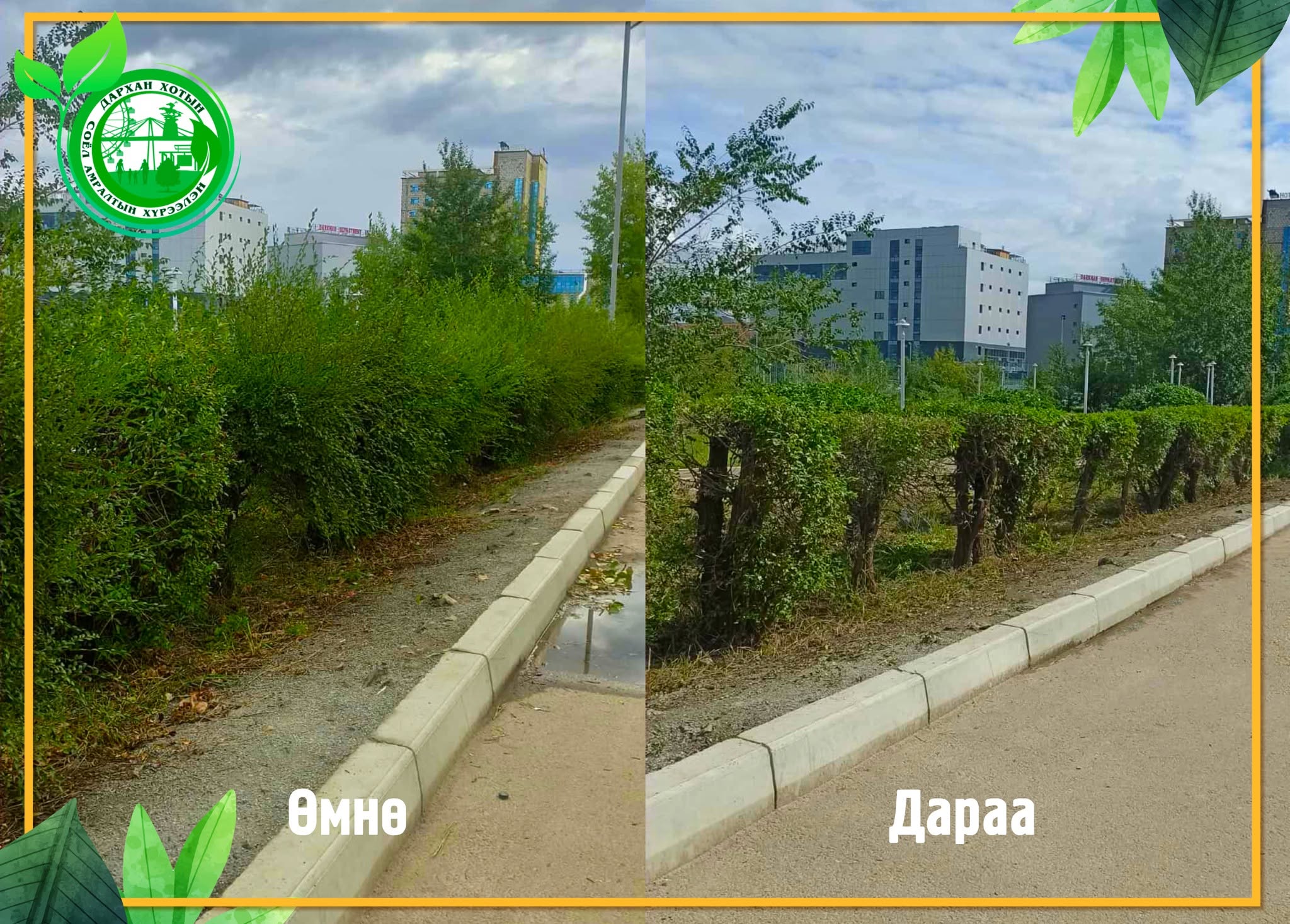 Дархан Сумаас санаачлан хэрэгжүүлж байгаа “Ахмад настны хөгжил, хөдөлмөрийг дэмжих” Морде төслийн ахмадууд