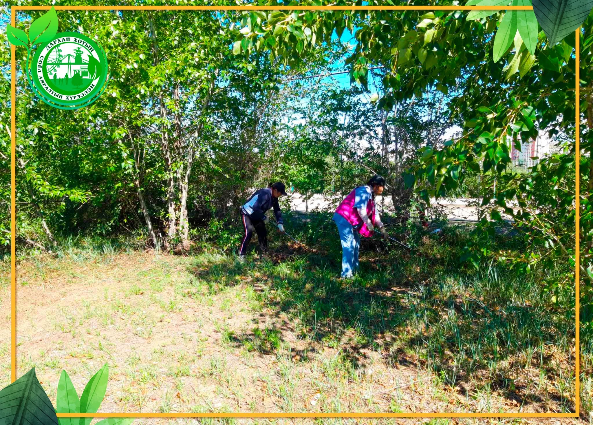 Дархан Сумаас санаачлан хэрэгжүүлж байгаа “Ахмад настны хөгжил, хөдөлмөрийг дэмжих” Морде төслийн ахмадууд
